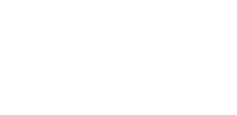 Can Akım
